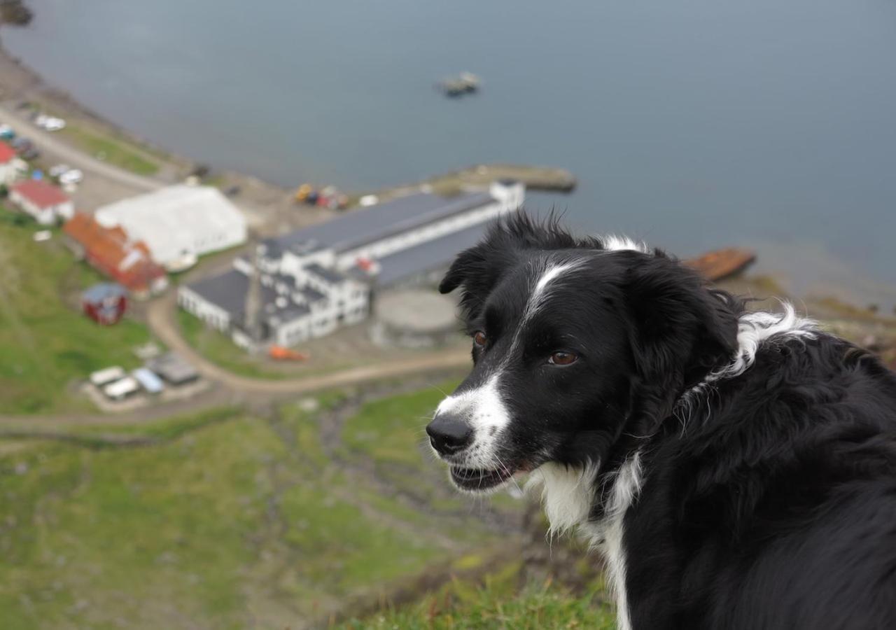 Hotel Djupavik Eksteriør bilde